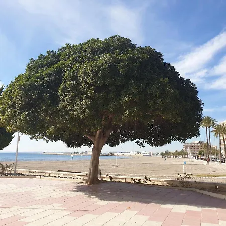 Beautiful Flat With Sea View And Sound Of The Surf Apartment